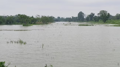 Photo of बिहार: मानसून की इंट्री होते ही रौद्र रूप दिखाने लगी कोसी नदी