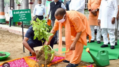 Photo of 20 जुलाई को यूपी में मनाया जाएगा ‘पेड़ लगाओ-पेड़ बचाओ जन अभियान’