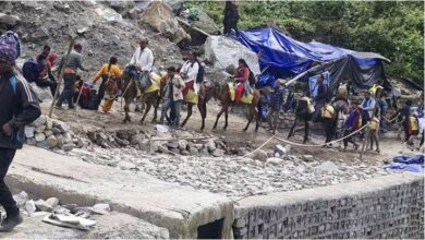 Photo of केदारनाथ: सोनप्रयाग से गौरीकुंड तक घोड़ा-खच्चर से सामान ढुलान का भाड़ा 500 से 1000 रुपये