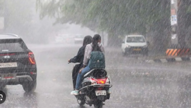 Photo of पटना, गया, भागलपुर समेत इन जिलों में बारिश का अलर्ट…
