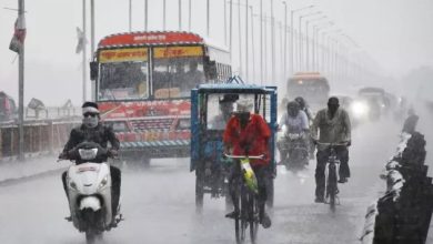 Photo of यूपी में मानसून की एंट्री! तराई में बरसे मेघ; 26 जिलों में बारिश का अलर्ट
