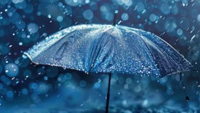 Photo of बारिश की बूंदों के गिरते ही हवा में क्यों फैल जाती है सोंधी-सी खुशबू?